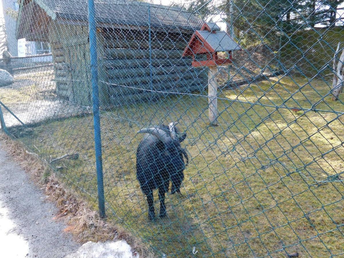 Appartamento High Tatras - Patris 27 Tatranska Strba Esterno foto