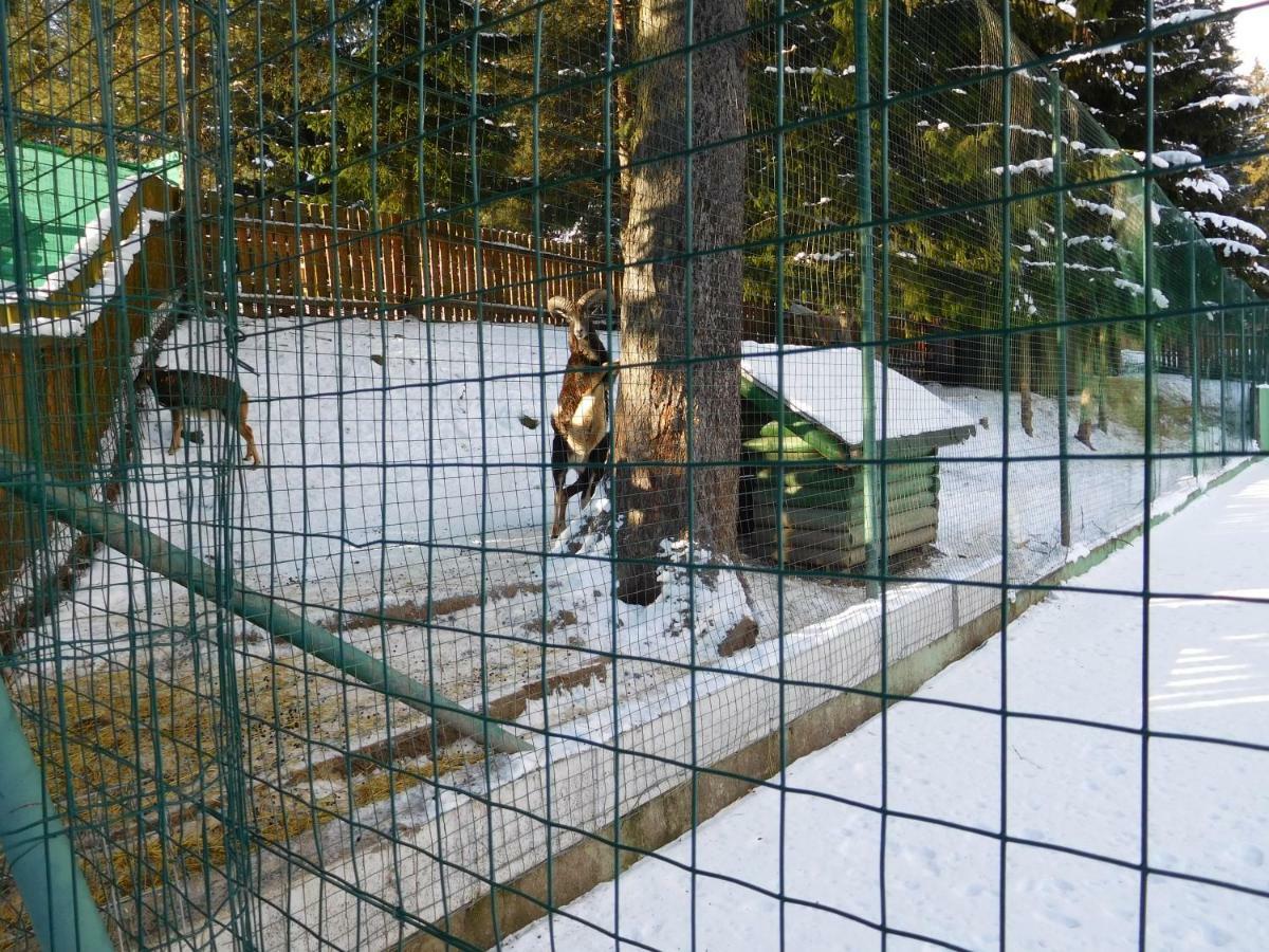 Appartamento High Tatras - Patris 27 Tatranska Strba Esterno foto